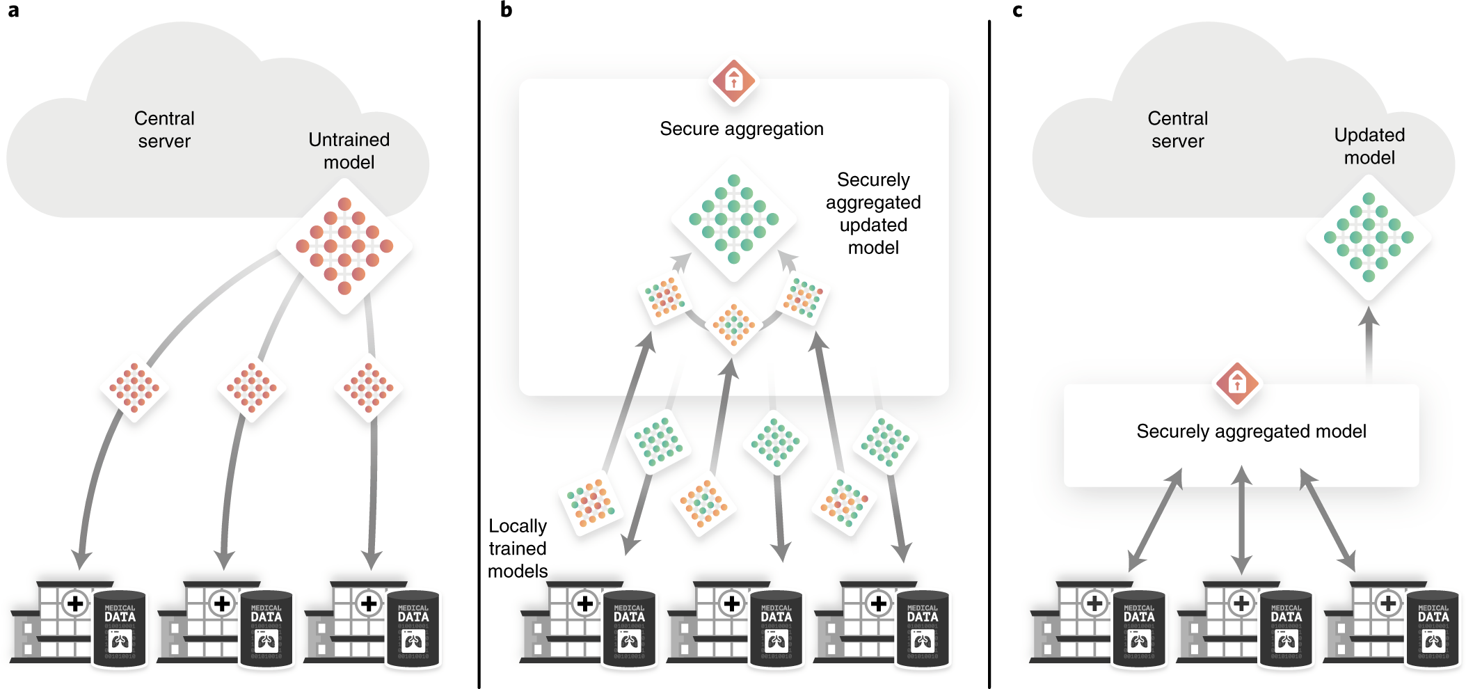 Why Zero-Knowledge Machine Learning is the Standard for Privacy-Preserving AI