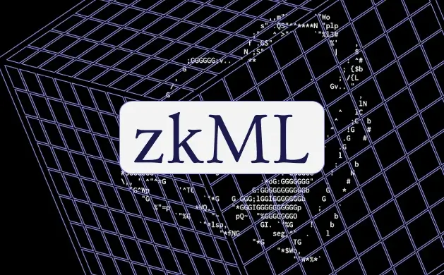 ZKML in