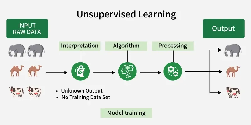 Zero-Knowledge Machine Learning