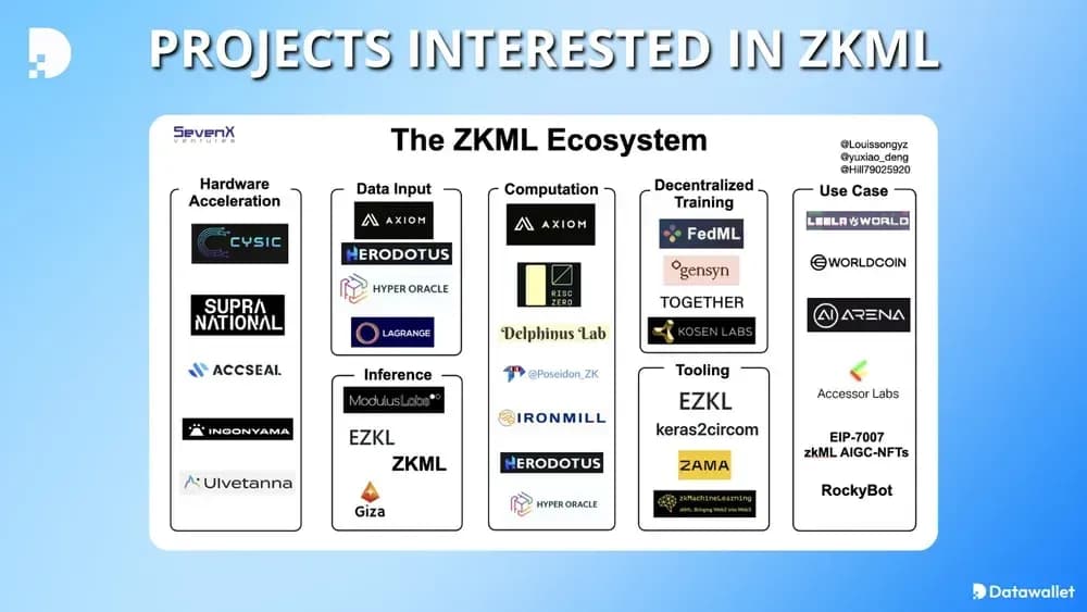 ZKML AI: How to Verify Black Box Models Without Leaking Data