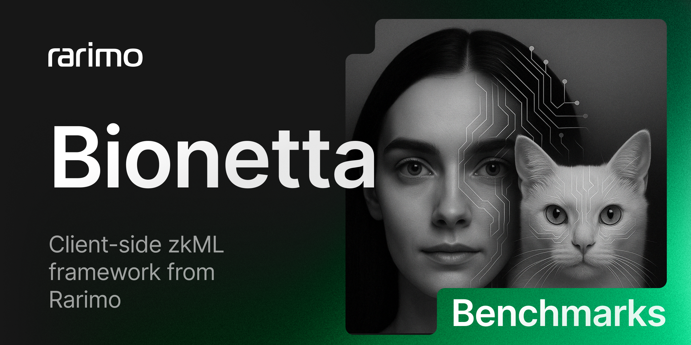 Bionetta zkML framework